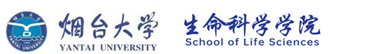 yl23411永利集团官网
